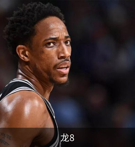 关于龙8